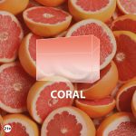 سیگار نوسو کورال NUSO Coral   - تصویر 4