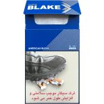 سیگار بلیک نقره‌ای سوپراسلیم Saena Blake SS 100 Silver - تصویر 2