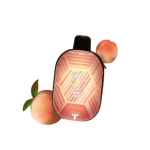 🥭 پاد یکبار مصرف دکتر ویپ هلو یخ 5500 پاف | Dr Vapes Panther Bar Peach Ice