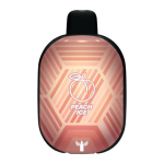 🥭 پاد یکبار مصرف دکتر ویپ هلو یخ 5500 پاف | Dr Vapes Panther Bar Peach Ice