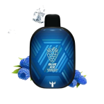 🫐 پاد یکبار مصرف دکتر ویپ 5500 پاف بلورزبری یخ 5500 DR.VAPES Blue Ice