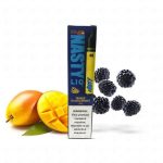سالت نستی انبه انگور فرنگی سیاه  Nasty LIQ 48 Mango Blackcurrant 30ml